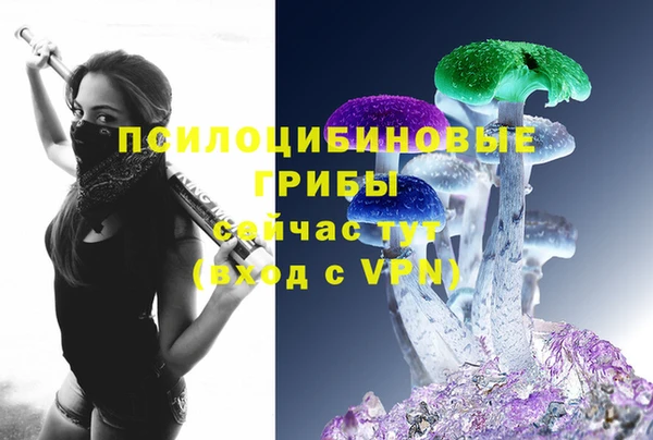 дживик Воткинск