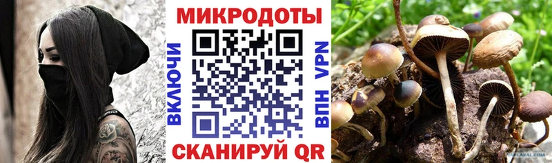Псилоцибиновые грибы мицелий  где продают   Знаменск 