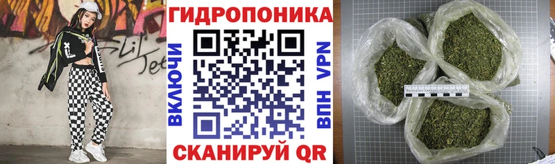 Марихуана White Widow  купить  цена  Знаменск 